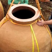 2018 Domaine Kox Kvevri Sankt Laurent - Sydjysk vin - Rødvin