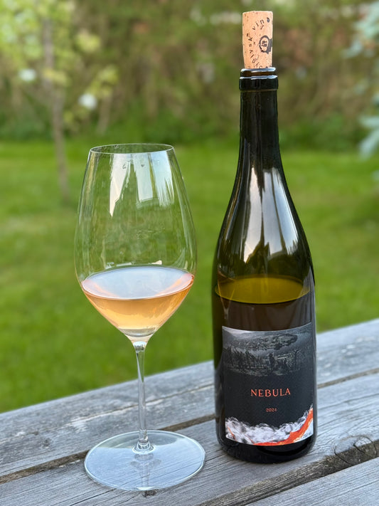 2024 Stairs N Roses "NEBULA" - Sydjysk vin - Orangevin