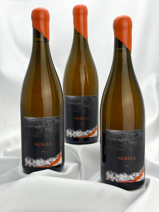 2024 Stairs N Roses "NEBULA" - Sydjysk vin - Orangevin