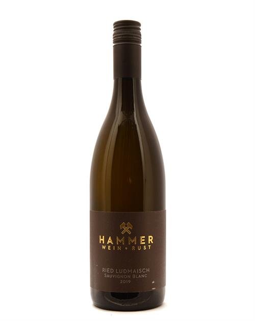 2019 Hammer Wein Sauvignon Blanc Ried Ludmaisch BIO - Sydjysk vin - Hvidvin