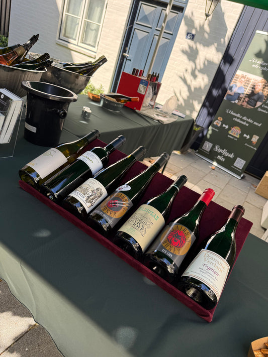 Ribe vinfestival 2025