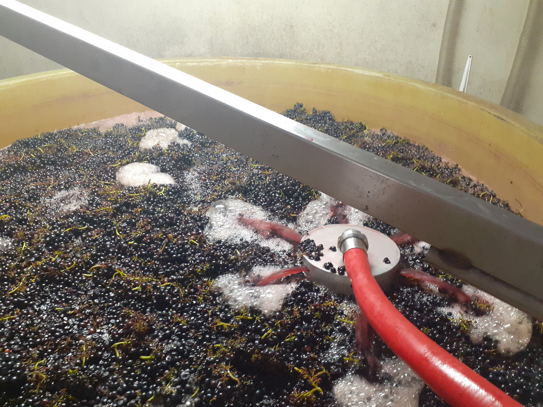 Beaujolais… Hvorfor er vi vilde med det?