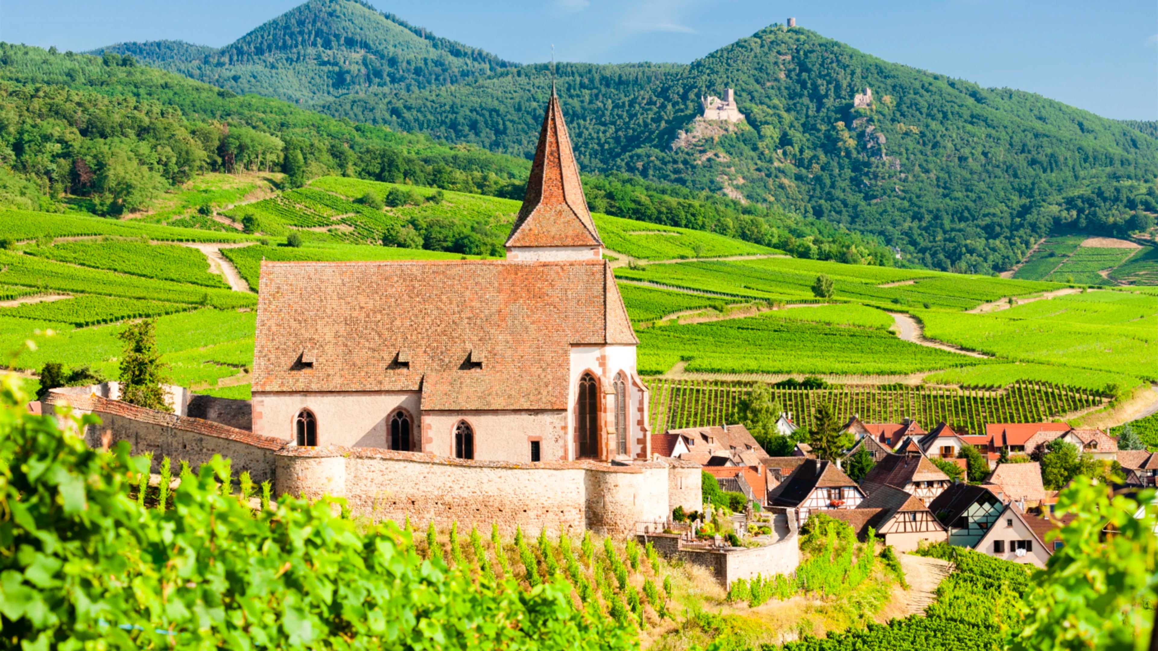 Justin boxler Cremant d'Alsace – Sydjysk vin
