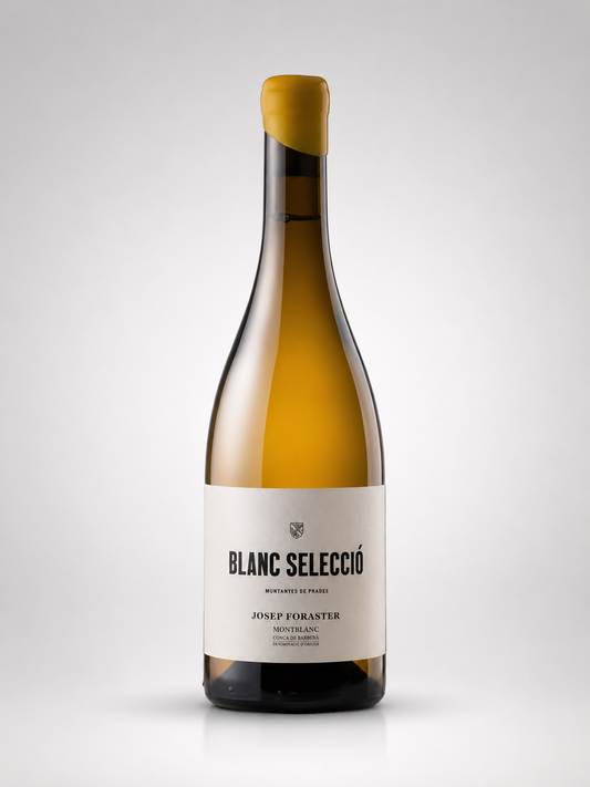 Josep Foraster Caixa Blanc Seleccio 2023 - Conca de Barberà, Spanien
