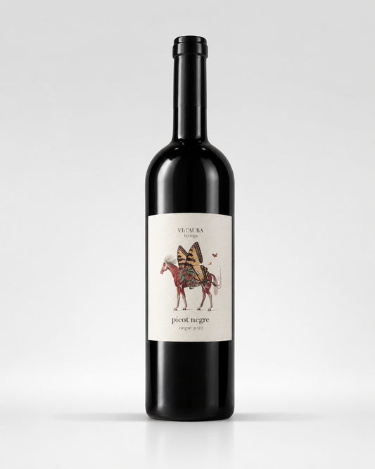 Vi d’Auba Picot Negre 2022 - Mallorca, Spanien