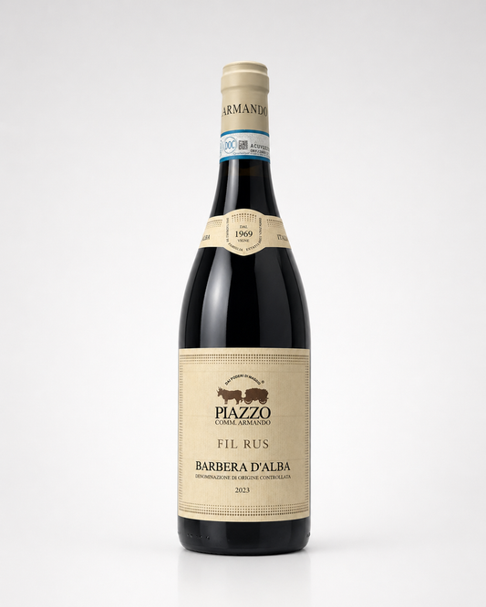 Piazzo Barbera D´Alba Fil Rus 2023 - Piemonte, Italien